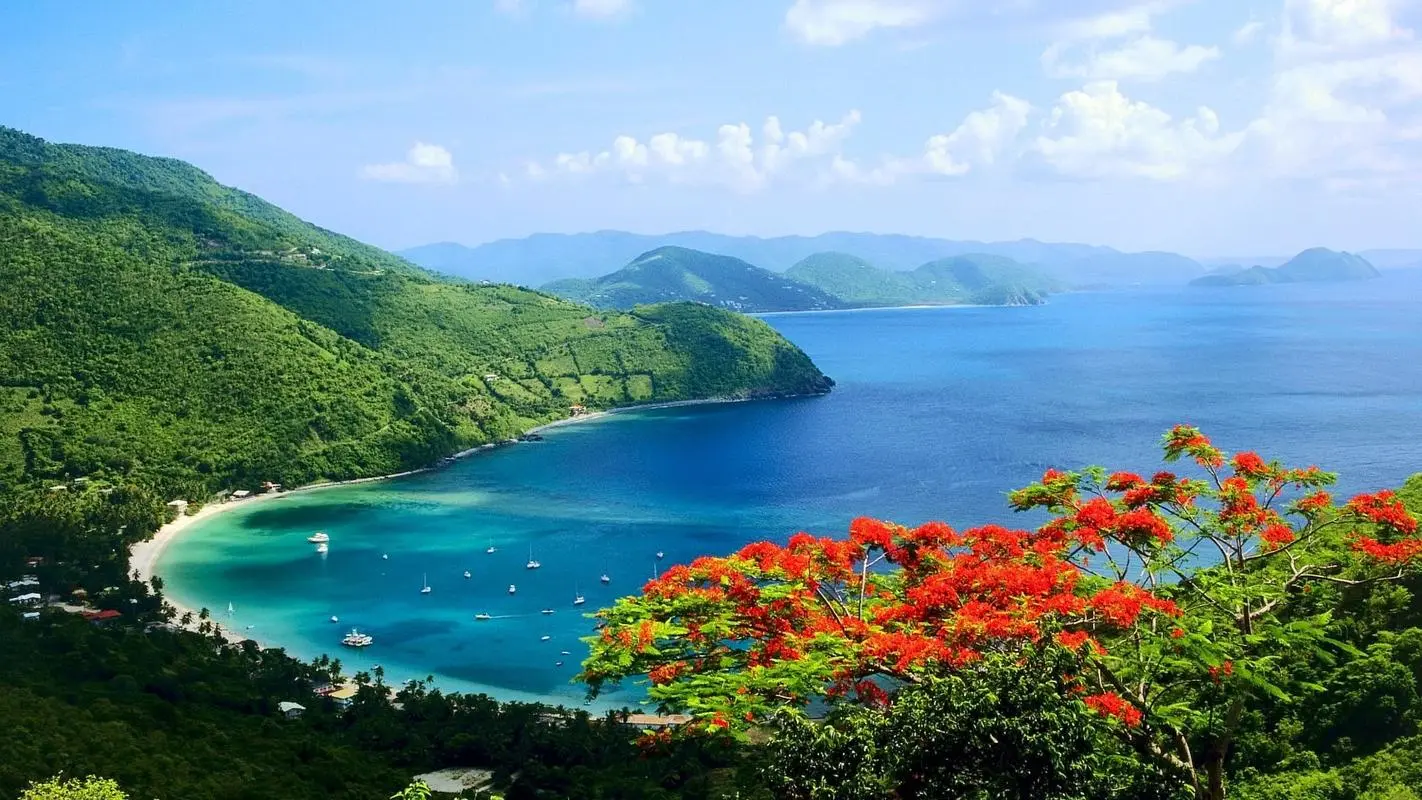 高效智慧